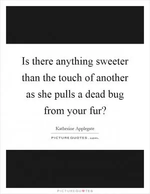 Is there anything sweeter than the touch of another as she pulls a dead bug from your fur? Picture Quote #1