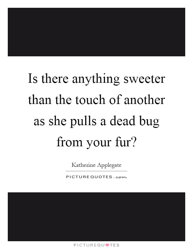Is there anything sweeter than the touch of another as she pulls a dead bug from your fur? Picture Quote #1