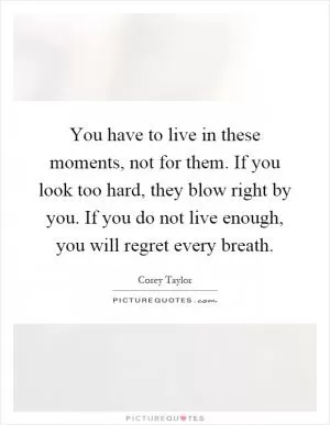 You have to live in these moments, not for them. If you look too hard, they blow right by you. If you do not live enough, you will regret every breath Picture Quote #1