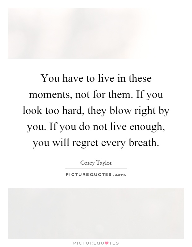 You have to live in these moments, not for them. If you look too hard, they blow right by you. If you do not live enough, you will regret every breath Picture Quote #1
