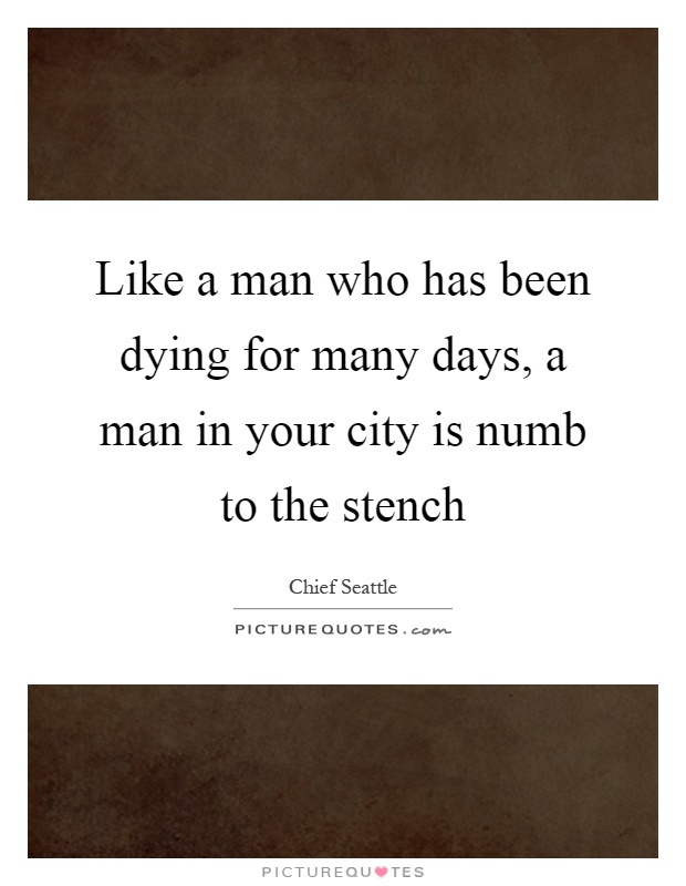 Like a man who has been dying for many days, a man in your city is numb to the stench Picture Quote #1