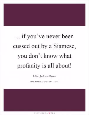... if you’ve never been cussed out by a Siamese, you don’t know what profanity is all about! Picture Quote #1
