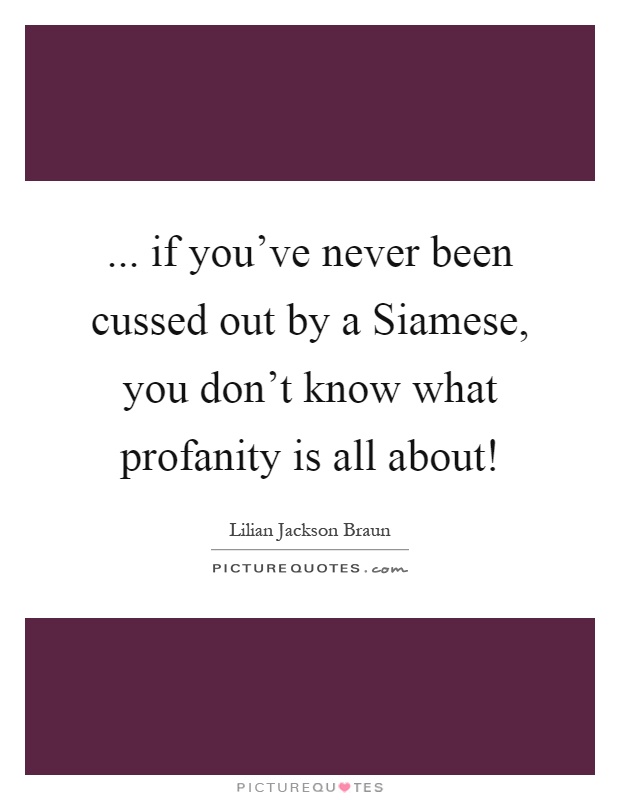 ... if you've never been cussed out by a Siamese, you don't know what profanity is all about! Picture Quote #1