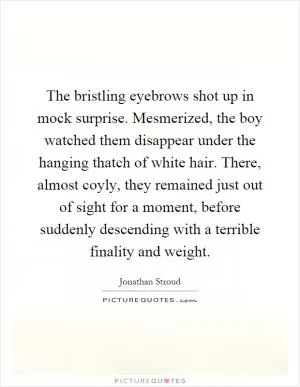 The bristling eyebrows shot up in mock surprise. Mesmerized, the boy watched them disappear under the hanging thatch of white hair. There, almost coyly, they remained just out of sight for a moment, before suddenly descending with a terrible finality and weight Picture Quote #1