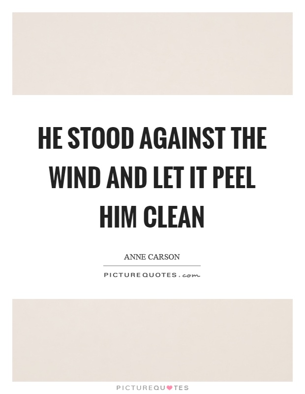 He stood against the wind and let it peel him clean Picture Quote #1