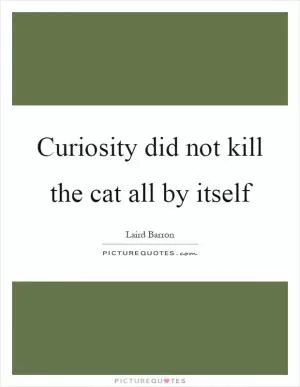 Curiosity did not kill the cat all by itself Picture Quote #1