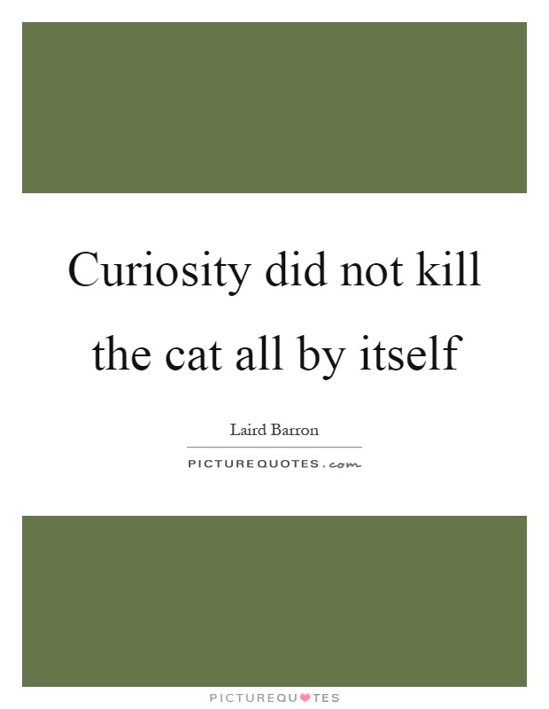 Curiosity did not kill the cat all by itself Picture Quote #1