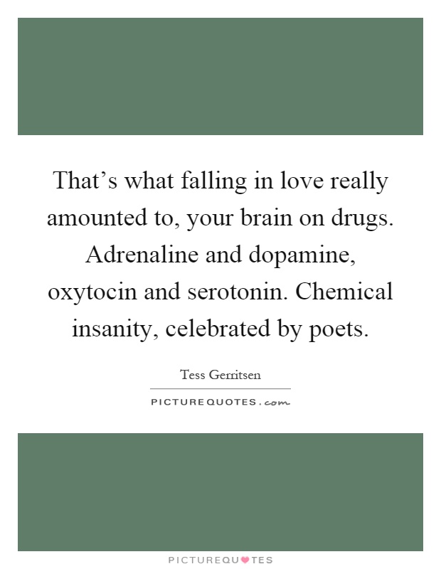 That's what falling in love really amounted to, your brain on drugs. Adrenaline and dopamine, oxytocin and serotonin. Chemical insanity, celebrated by poets Picture Quote #1