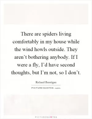 There are spiders living comfortably in my house while the wind howls outside. They aren’t bothering anybody. If I were a fly, I’d have second thoughts, but I’m not, so I don’t Picture Quote #1