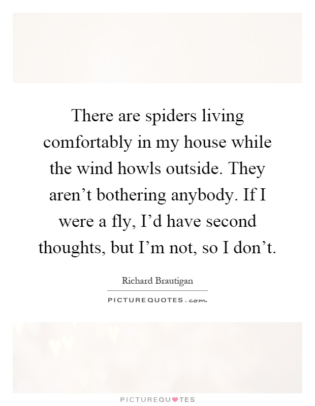 There are spiders living comfortably in my house while the wind howls outside. They aren't bothering anybody. If I were a fly, I'd have second thoughts, but I'm not, so I don't Picture Quote #1