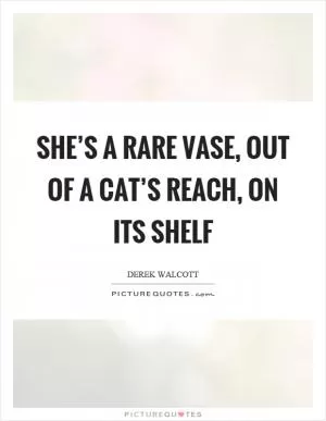 She’s a rare vase, out of a cat’s reach, on its shelf Picture Quote #1