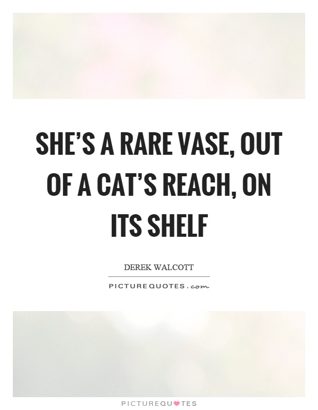 She's a rare vase, out of a cat's reach, on its shelf Picture Quote #1