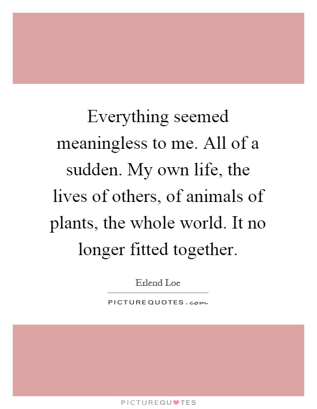 Everything seemed meaningless to me. All of a sudden. My own life, the lives of others, of animals of plants, the whole world. It no longer fitted together Picture Quote #1