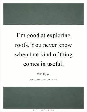 I’m good at exploring roofs. You never know when that kind of thing comes in useful Picture Quote #1
