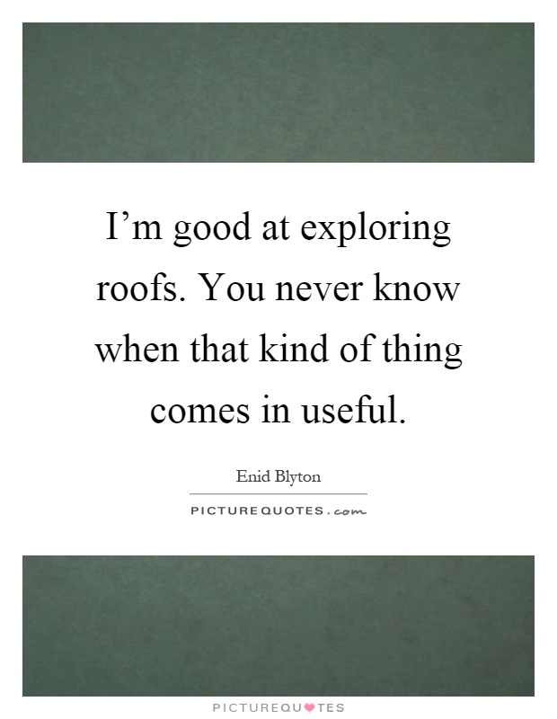 I'm good at exploring roofs. You never know when that kind of thing comes in useful Picture Quote #1