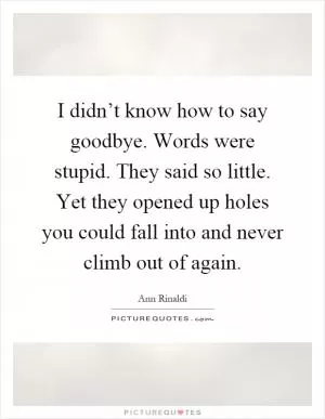 I didn’t know how to say goodbye. Words were stupid. They said so little. Yet they opened up holes you could fall into and never climb out of again Picture Quote #1