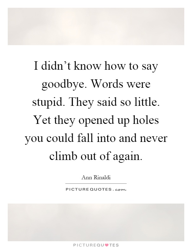 I didn't know how to say goodbye. Words were stupid. They said so little. Yet they opened up holes you could fall into and never climb out of again Picture Quote #1