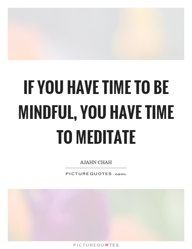 If you have time to be mindful, you have time to meditate Picture Quote #1