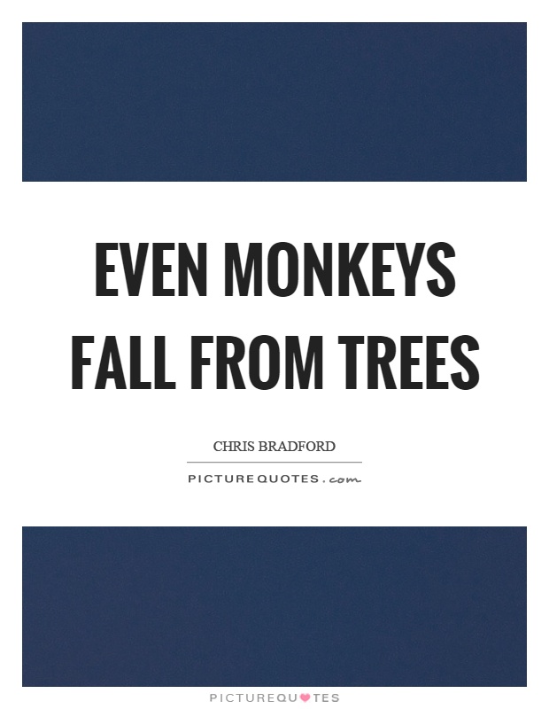 Even monkeys fall from trees Picture Quote #1