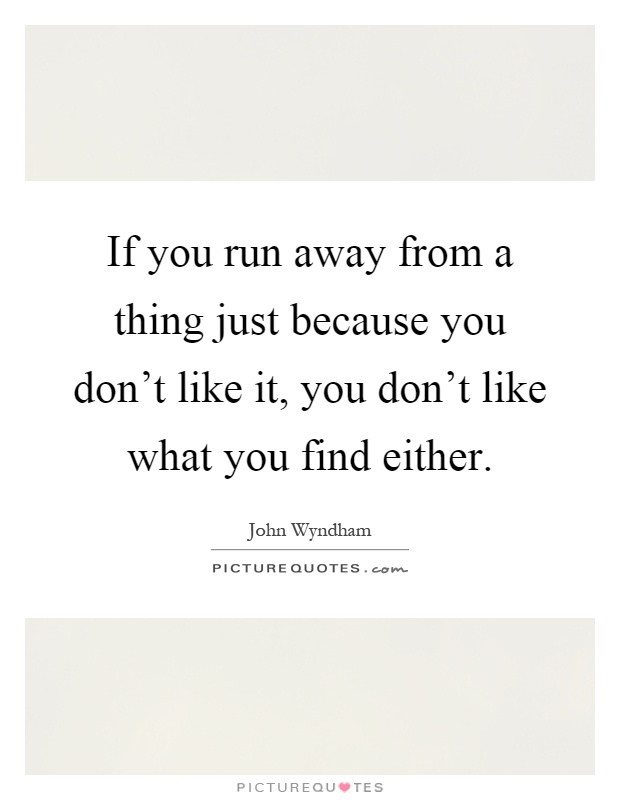 If you run away from a thing just because you don't like it, you don't like what you find either Picture Quote #1