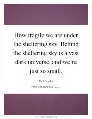 How fragile we are under the sheltering sky. Behind the sheltering sky is a vast dark universe, and we’re just so small Picture Quote #1