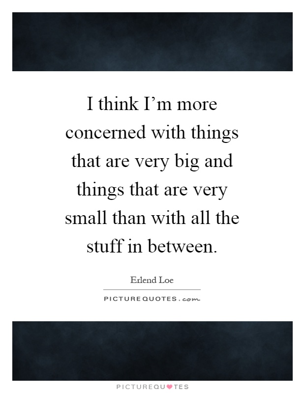 I think I'm more concerned with things that are very big and things that are very small than with all the stuff in between Picture Quote #1