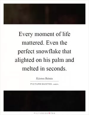 Every moment of life mattered. Even the perfect snowflake that alighted on his palm and melted in seconds Picture Quote #1