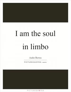 I am the soul in limbo Picture Quote #1