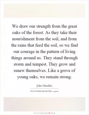 We draw our strength from the great oaks of the forest. As they take their nourishment from the soil, and from the rains that feed the soil, so we find our courage in the pattern of living things around us. They stand through storm and tempest. They grow and renew themselves. Like a grove of young oaks, we remain strong Picture Quote #1