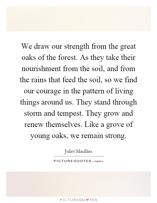 We draw our strength from the great oaks of the forest. As they take their nourishment from the soil, and from the rains that feed the soil, so we find our courage in the pattern of living things around us. They stand through storm and tempest. They grow and renew themselves. Like a grove of young oaks, we remain strong Picture Quote #1