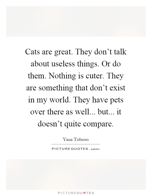 Cats are great. They don't talk about useless things. Or do them. Nothing is cuter. They are something that don't exist in my world. They have pets over there as well... but... it doesn't quite compare Picture Quote #1