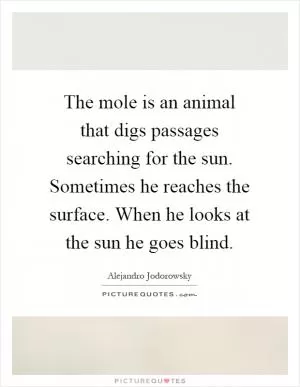 The mole is an animal that digs passages searching for the sun. Sometimes he reaches the surface. When he looks at the sun he goes blind Picture Quote #1
