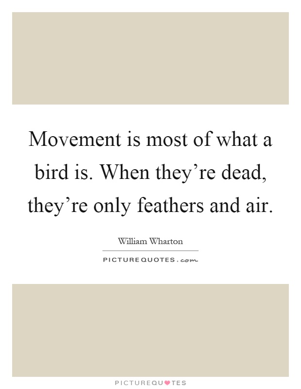 Movement is most of what a bird is. When they're dead, they're only feathers and air Picture Quote #1