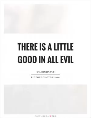 There is a little good in all evil Picture Quote #1