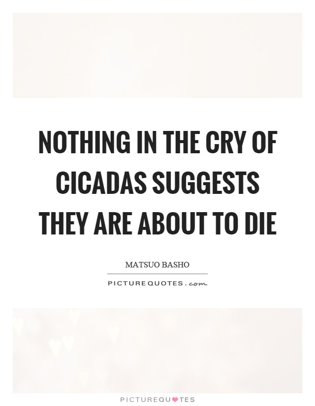 Nothing in the cry of cicadas suggests they are about to die Picture Quote #1