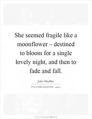 She seemed fragile like a moonflower – destined to bloom for a single lovely night, and then to fade and fall Picture Quote #1