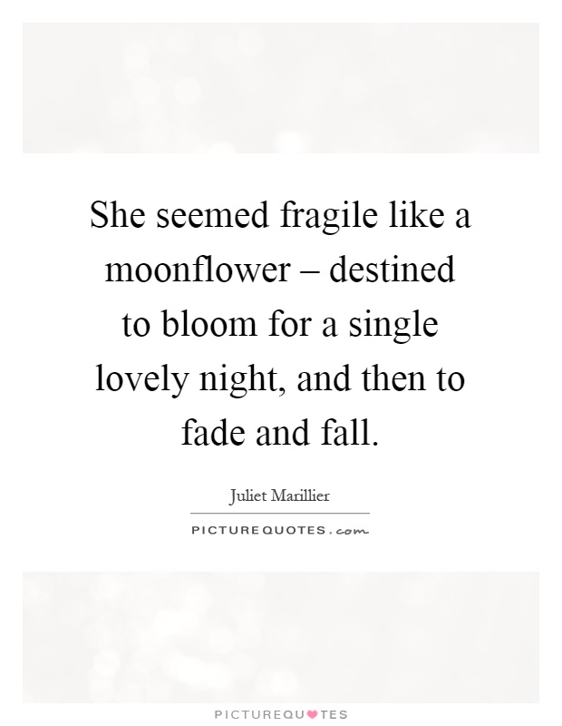 She seemed fragile like a moonflower – destined to bloom for a single lovely night, and then to fade and fall Picture Quote #1