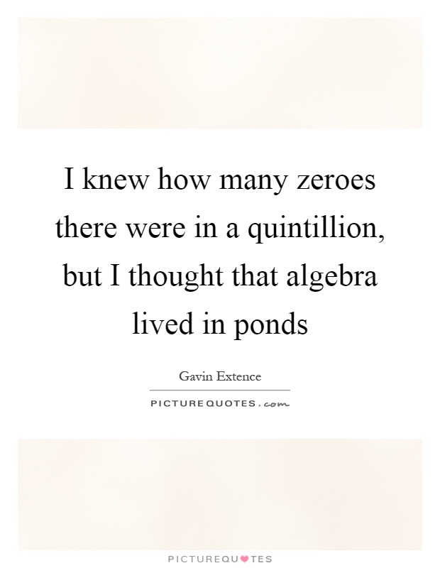 I knew how many zeroes there were in a quintillion, but I thought that algebra lived in ponds Picture Quote #1