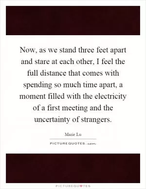 Now, as we stand three feet apart and stare at each other, I feel the full distance that comes with spending so much time apart, a moment filled with the electricity of a first meeting and the uncertainty of strangers Picture Quote #1