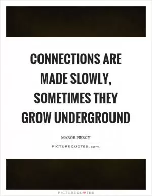 Connections are made slowly, sometimes they grow underground Picture Quote #1