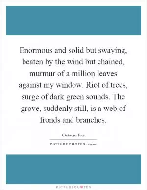 Enormous and solid but swaying, beaten by the wind but chained, murmur of a million leaves against my window. Riot of trees, surge of dark green sounds. The grove, suddenly still, is a web of fronds and branches Picture Quote #1