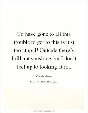 To have gone to all this trouble to get to this is just too stupid! Outside there’s brilliant sunshine but I don’t feel up to looking at it Picture Quote #1