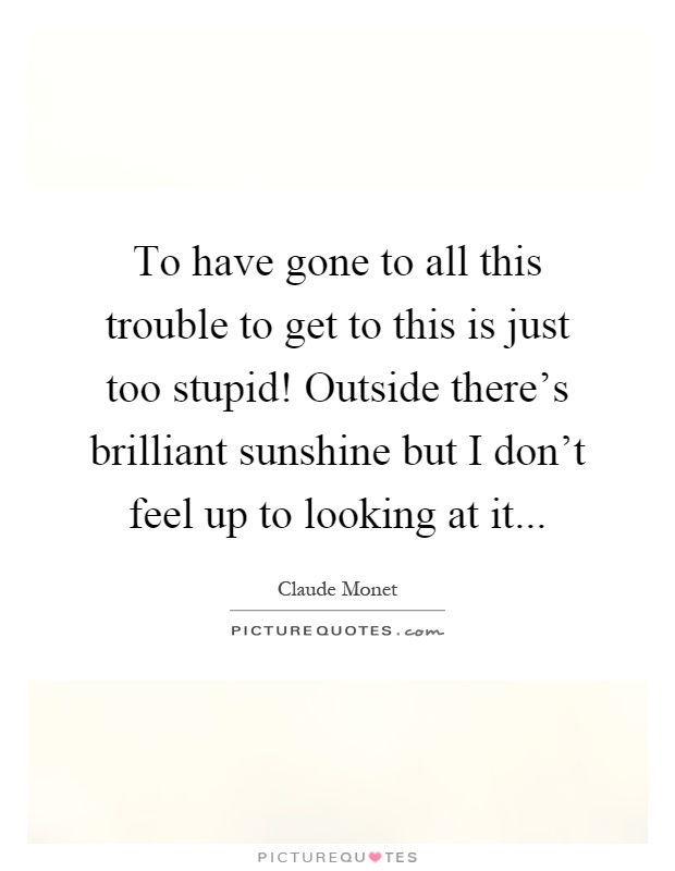 To have gone to all this trouble to get to this is just too stupid! Outside there's brilliant sunshine but I don't feel up to looking at it Picture Quote #1
