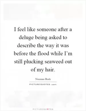 I feel like someone after a deluge being asked to describe the way it was before the flood while I’m still plucking seaweed out of my hair Picture Quote #1