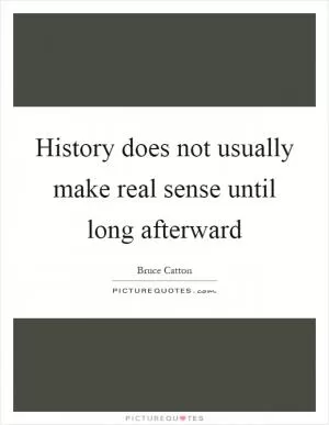 History does not usually make real sense until long afterward Picture Quote #1