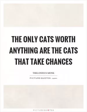 The only cats worth anything are the cats that take chances Picture Quote #1