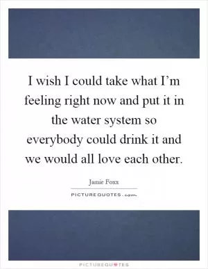 I wish I could take what I’m feeling right now and put it in the water system so everybody could drink it and we would all love each other Picture Quote #1