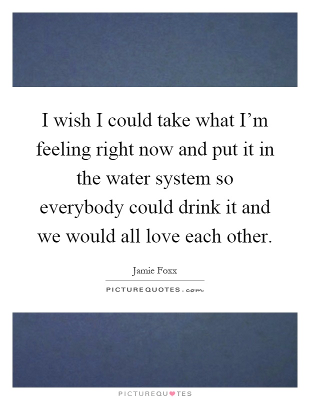 I wish I could take what I'm feeling right now and put it in the water system so everybody could drink it and we would all love each other Picture Quote #1