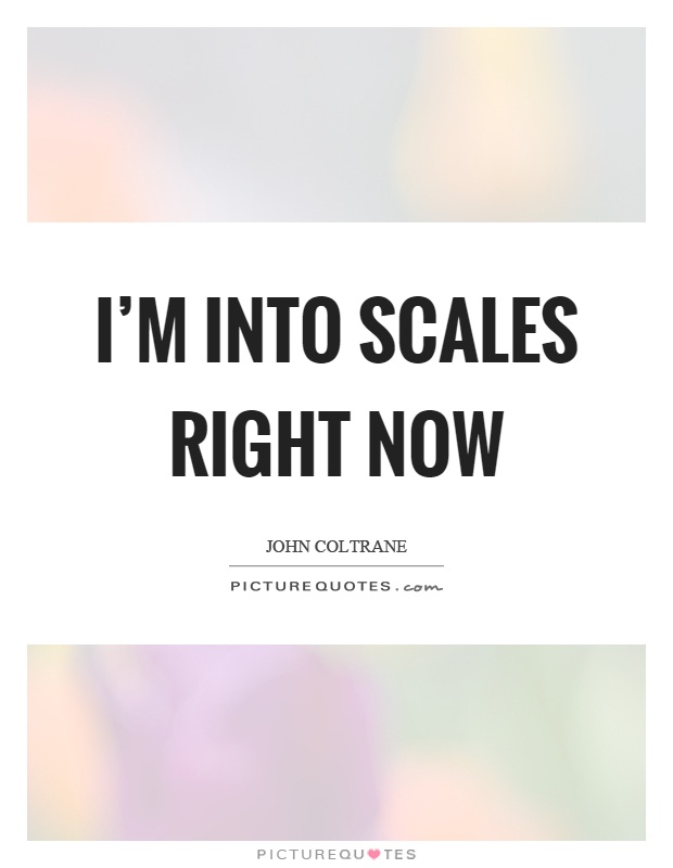 I'm into scales right now Picture Quote #1
