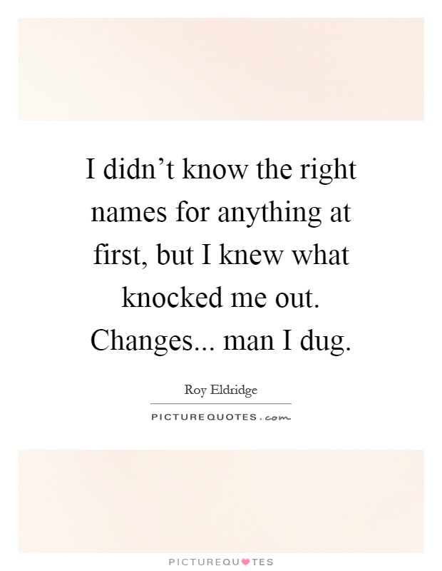 I didn't know the right names for anything at first, but I knew what knocked me out. Changes... man I dug Picture Quote #1